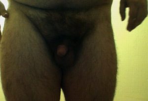 Cock1