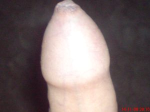 DSC00221