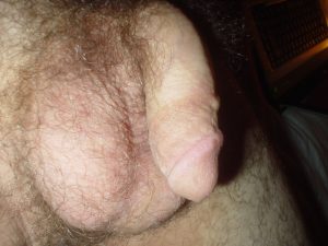 DSC04