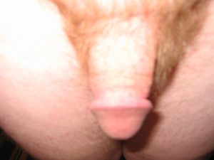 IMG_0239