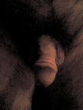 Photo 0103