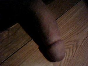 Picture 012