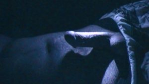 SAM_0045