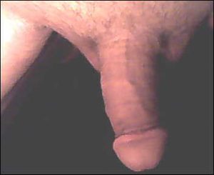 cock2