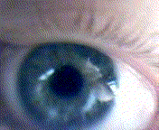 eyes