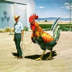 man_with_huge_cock