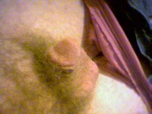 my cock