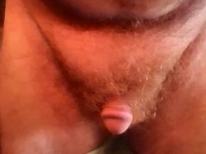 show me your cock