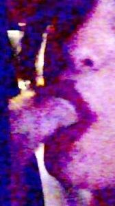 yummydetail